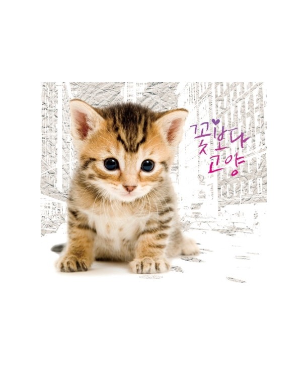 kkochboda-goyang-yugimyo-dobgi-peulojegteu-aelbeom-D13093C-8809276930934