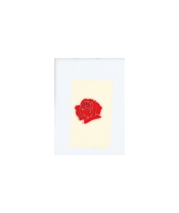 LANY-LANY-GATEFOLD-COVER-2LP-5752404-602557524048