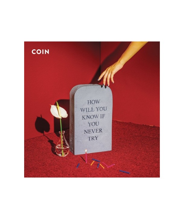 COIN-HOW-WILL-YOU-KNOW-IF-YOU-NEVER-TRY-S20466C-8803581124668