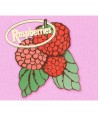 RASPBERRIES-CLASSIC-ALBUM-SET-4CD-5364671-600753646717