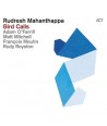 RUDRESH-MAHANTHAPPA-BIRDS-CALLS-180GRAM-MP3-DOWNLOAD-CODE-LP-95811-614427958112