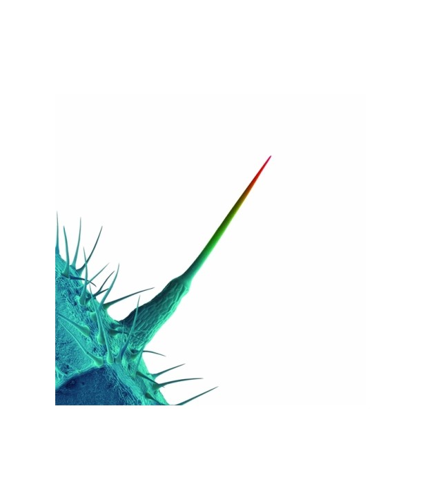 PETER-GABRIEL-AND-ILL-SCRATCH-YOURS-84108002117-884108002117