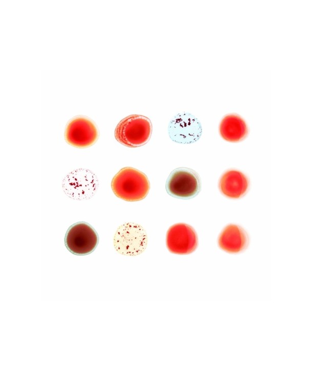 PETER-GABRIEL-SCRATCH-MY-BACK-AND-ILL-SCRATCH-YOURS-lt2-FOR-1gt-8410800213-884108002131