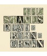 THE-STAVES-DEAD-BORN-GROWN-2564655588A-825646555888