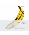 VELVET-UNDERGROUND-NICO-VELVET-UNDERGROUND-NICO-45TH-ANNIVERSARY-REMASTERED-DELUXE-EDITION-lt2-FOR-1gt-53705468-602537054688