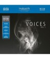 GREAT-VOICES-VOL1-REFERENCE-SOUND-EDITION-180-GRAM-2LP-INAK75011-707787750110