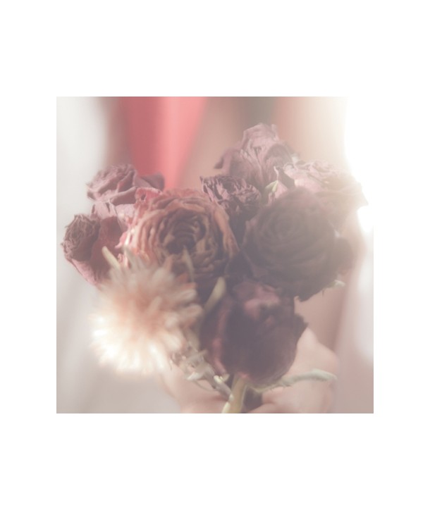 HARVARD-HAHVAHD-HRC438-8808401243840