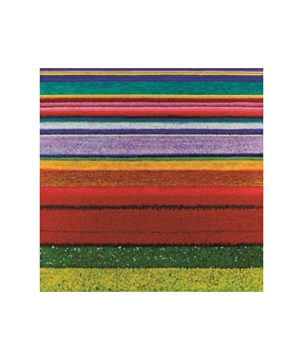 CITY-AND-COLOUR-LITTLE-HELL-DELUXE-EDITION-CD-DVD-COOKCD541X-711297494150