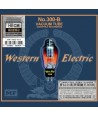NO300-B-WESTERN-ELECTRIC-HECM-SUPER-MASTERING-WH-126-9787880063424