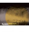 nubim-NUBIM-YELLOW-WOODS-OPC0222-8809258527466