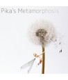 pika-PIKA039S-METAMORPHOSIS-EP-PAG002-8809114699238