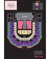 Project SNSD concert
