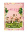 Apink 2ND CONCERT DVD [PINK ISLAND]