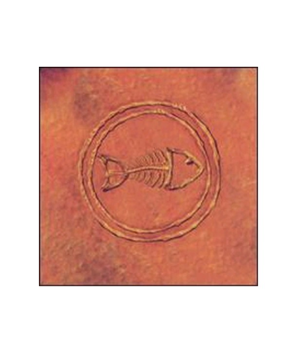 FISHBONE-FISHBONE-101-NUTTASAURUSMEG-FOSSIL-FUELIN039-C2K65009-074646500927