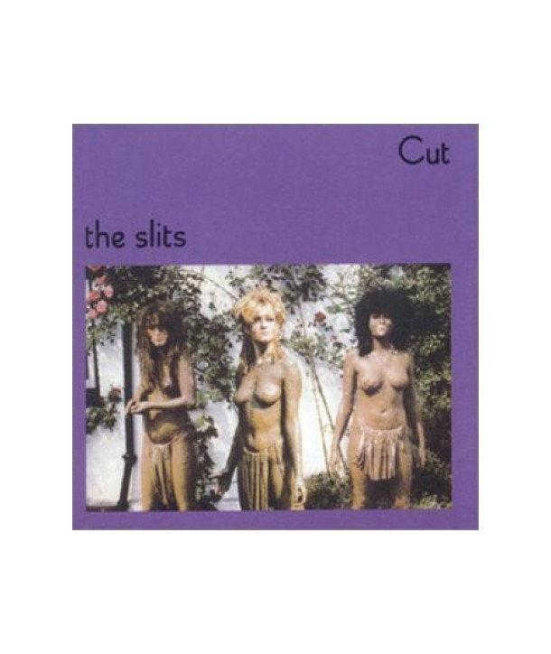 SLITS-CUT-IMCD90-042284255028