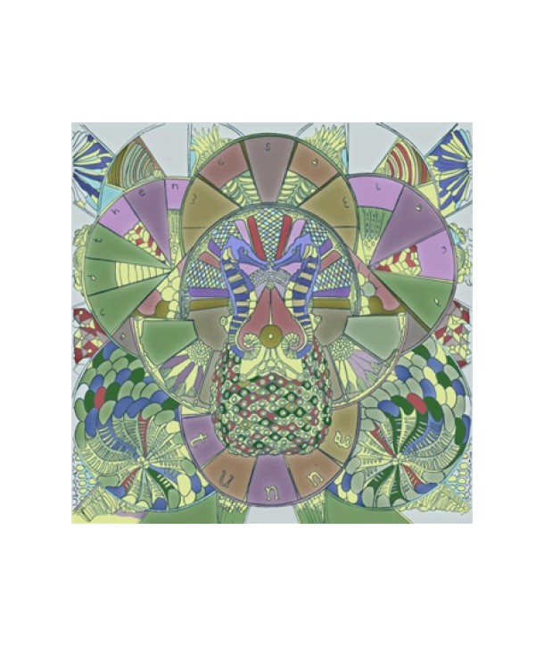 TUNNG-AND-THEN-WE-SAW-THE-LAND-PCSD00663-8805636066633