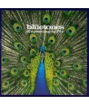 BLUETONES-EXPECTING-TO-FLY-540475G-731454047524