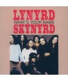 LYNYRD-SKYNYRD-WHAT039S-YOUR-NAME-MCAD20401-076742040123