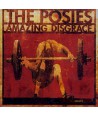 POSIES-AMAZING-DISGRACE-FD5095-8808678210378