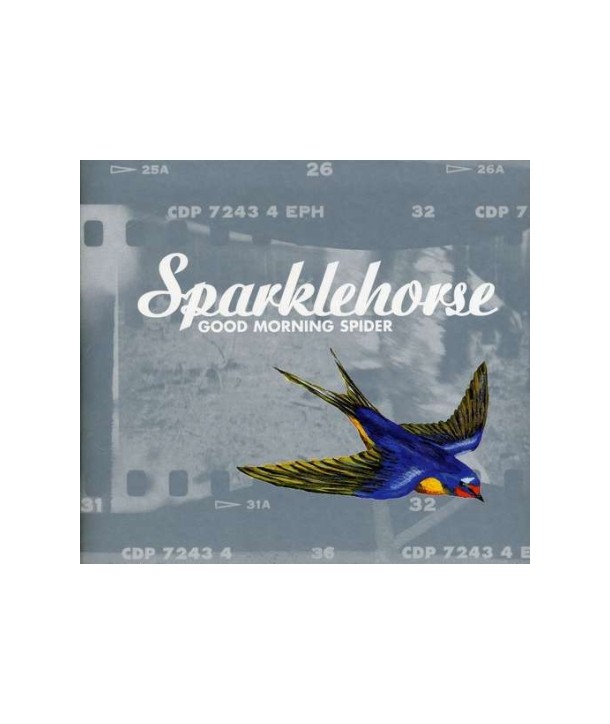 SPARKLEHORSE-GOOD-MORNING-SPIDER-49601420-724349601420