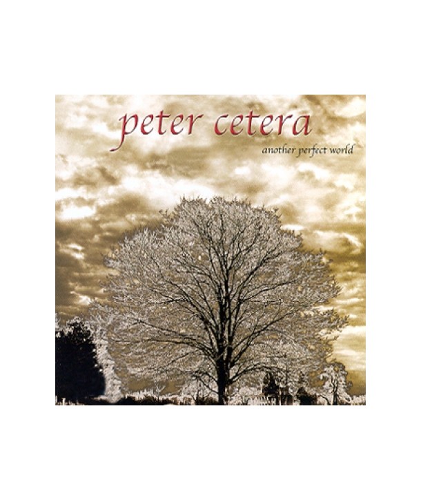 PETER-CETERA-ANOTHER-PERFECT-WORLD-SMATCD37-8809049742078