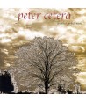 PETER-CETERA-ANOTHER-PERFECT-WORLD-SMATCD37-8809049742078