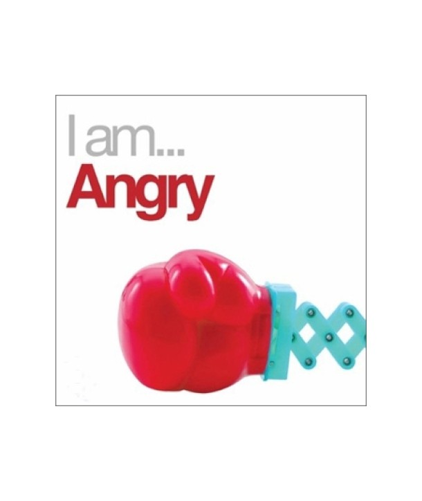 I-AM-ANGRY-I-AM-SERIES-CAMPAIGN-DC6589-8808678244939