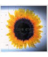 LOVE-DIARY-2001-VOL2-DC8224-8808678220957