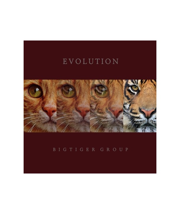 bigtaigeo-geulub-BIGTIGER-GROUP-EVOLUTION-MBMC1717-8809516266113