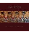 bigtaigeo-geulub-BIGTIGER-GROUP-EVOLUTION-MBMC1717-8809516266113