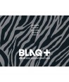 embeullaeg-MBLAQ-sijeun-geuliting-2012-BLAQ-580159-8809270580159