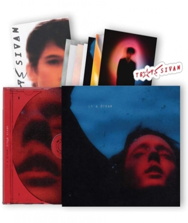 TROYE-SIVAN-IN-A-DREAM-POSTER-7-ART-CARDS-STICKER-PAPER-OUTCASE-EP-0742860-602507428600