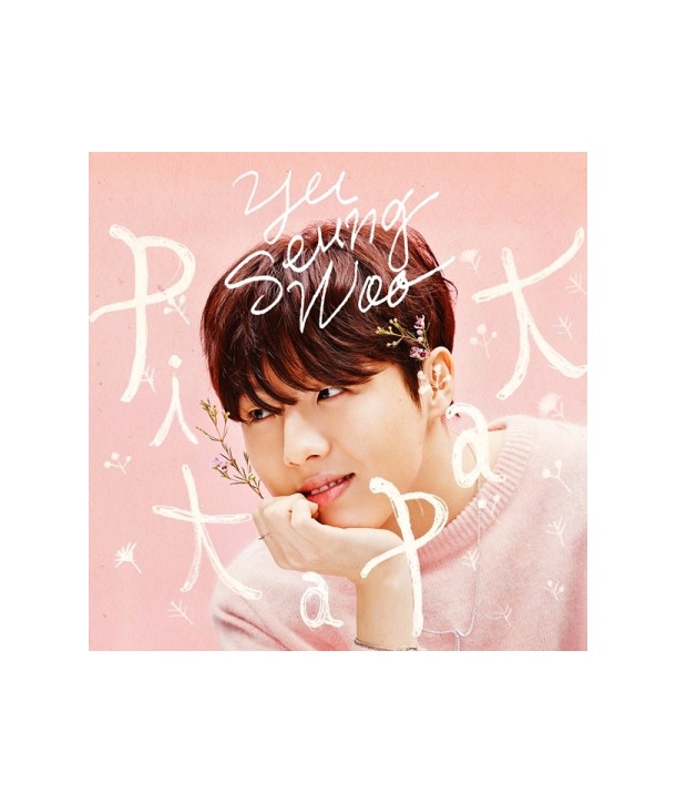 yuseung-u-PIT-A-PAT-3RD-miniaelbeom-L100005164-8804775068522