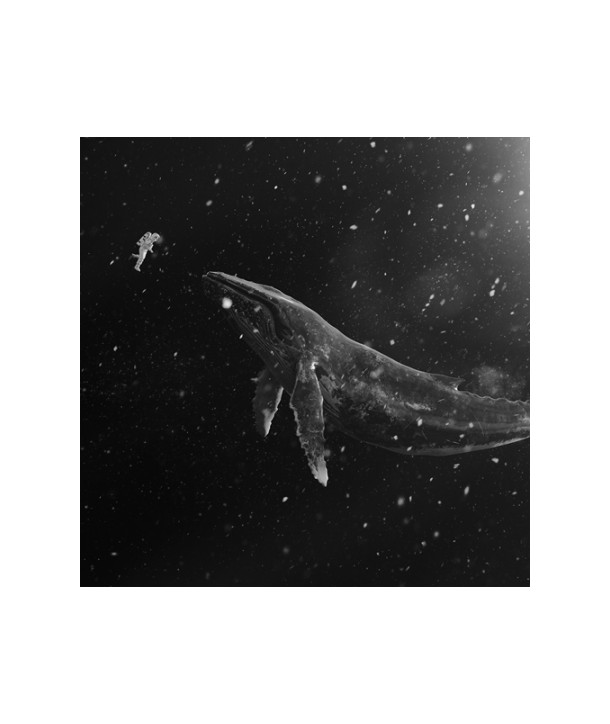 Korean-ver--egso-EXO-gyeoul-seupesyeol-aelbeom-SING-FOR-YOUKOREAN-VER-Korean-Ver9jonggaeinbyeol-beojeonjung-laendeomltposeuteopu