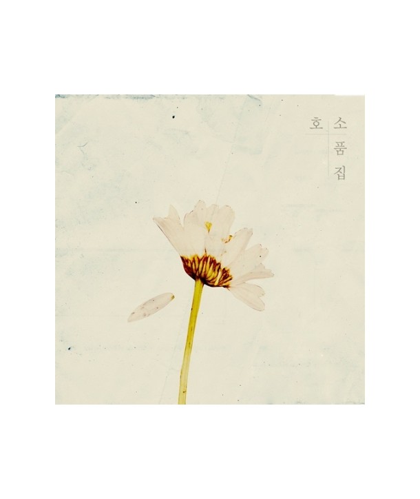 hoso-hoso-sopumjib-D13144C-8809276931443