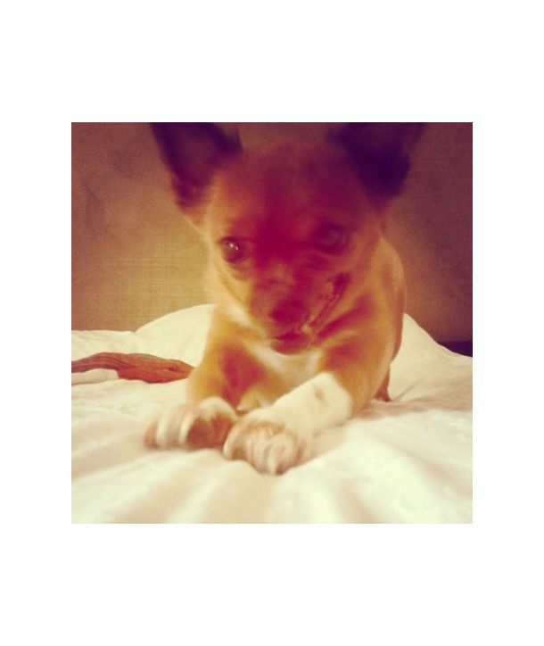 bong-gwon-geoli-EP-MBMC1159-8809447088679