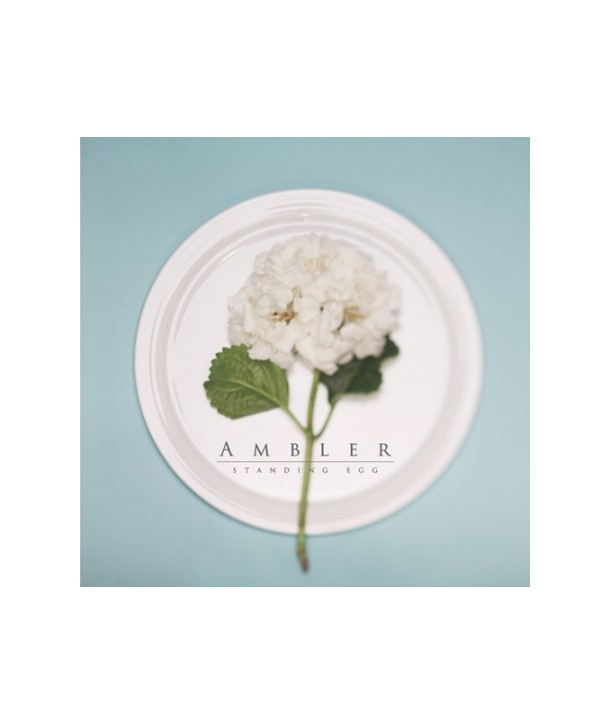 seutaending-egeu-AMBLER-miniaelbeom-jaebalmae-WMED0131-8809373229078