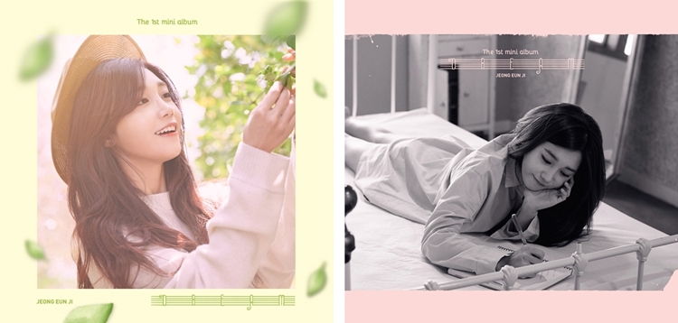 jeong-eunji-DREAM-1ST-miniaelbeom-keobeo-2jong-jung-laendeom-potokadeu-1jong-2chabun-chulgoneun-27ilbuteo-L200001235-8804775070211