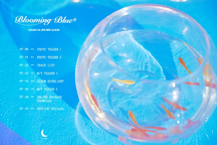 cheongha-BLOOMING-BLUE-3RD-miniaelbeom-CMCC11268-8809603543998