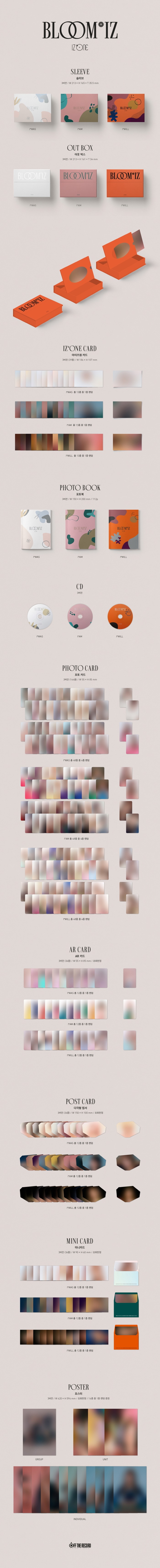 IAM--aijeuwon-1jib-BLOOMIZ-IAM-Ver-CMAC11485-8809658318862