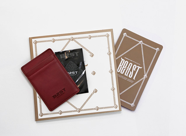 biseuteu-BEAST-MIDNIGHT-SUN-hanjeongban-DK0717-8808678307184